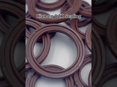 ปริมณฑลปนูเมติก